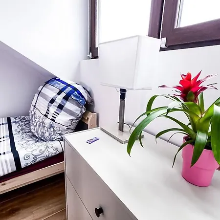 Modern Sanierte Mit 5 Einzelbetten In Leipzig-plagwitz Apartment