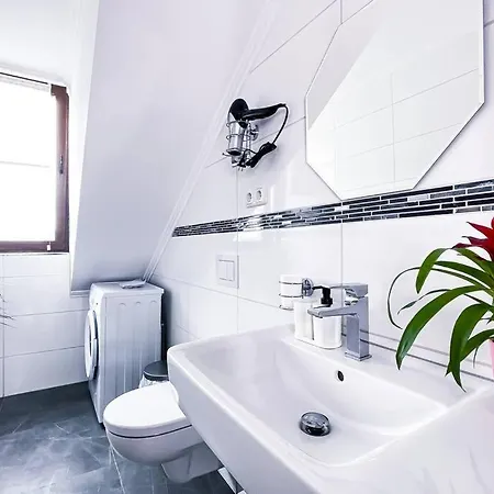 Modern Sanierte Mit 5 Einzelbetten In Leipzig-plagwitz Apartment *
