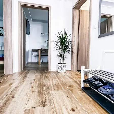 Apartment Modern Sanierte Mit 5 Einzelbetten In Leipzig-plagwitz