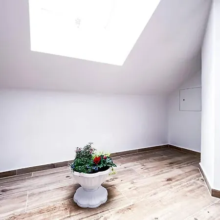 Modern Sanierte Mit 5 Einzelbetten In Leipzig-plagwitz Apartment